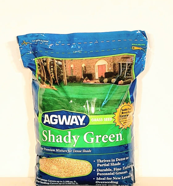 SHADY GREEN GRASS SEED 10LBS