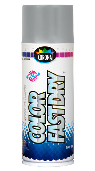 Spray Paint 13.52-oz Silver/Dark Gray